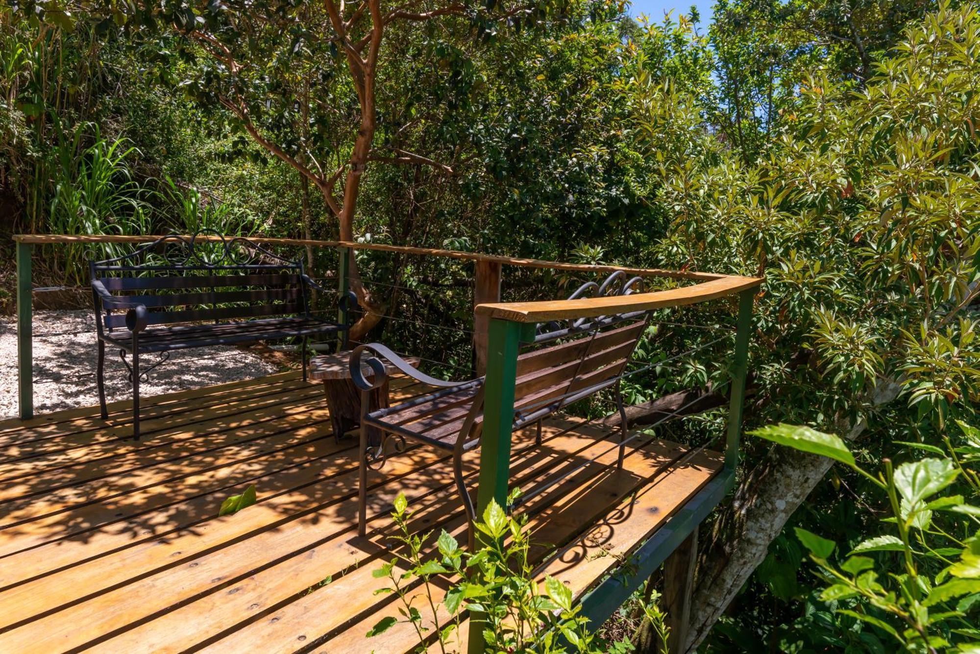 Cabinas Capulin & Farm Monteverde Dış mekan fotoğraf